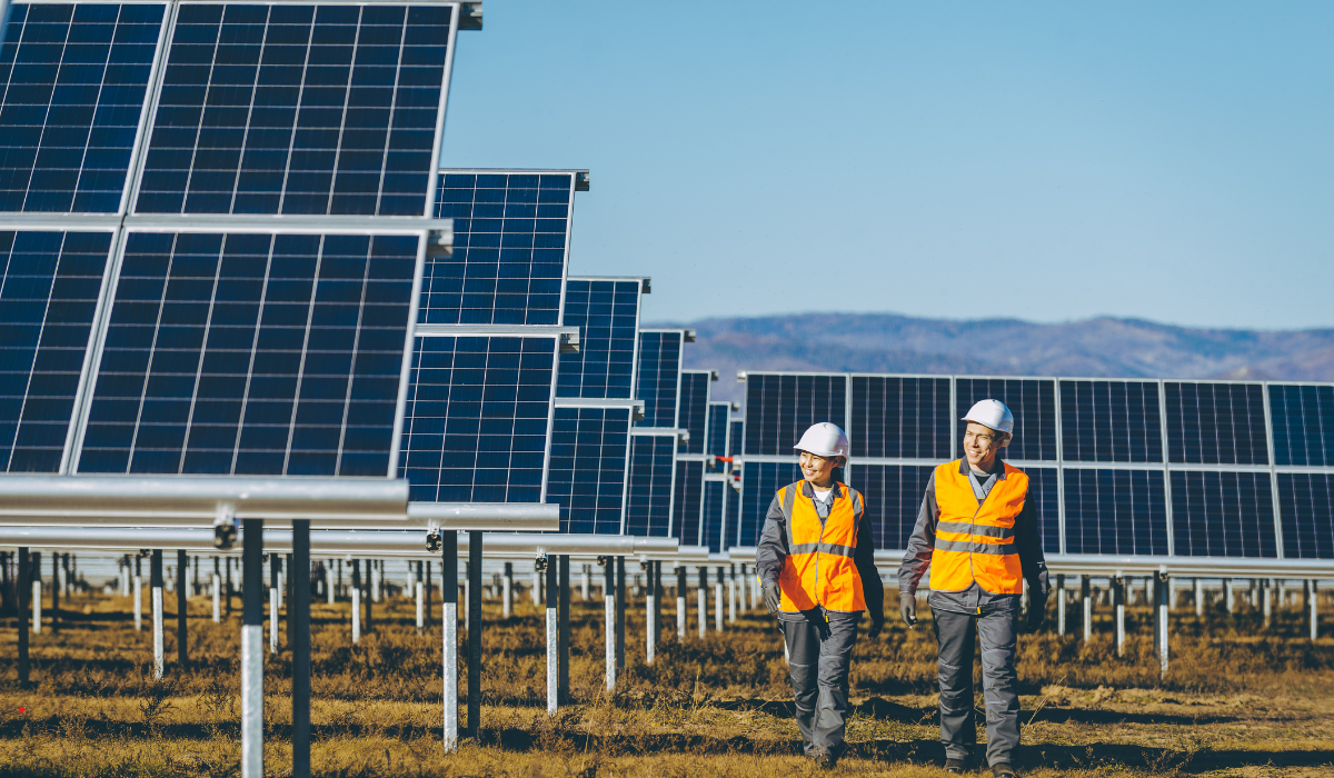 How Solar Panels Work: Everything You Need to Know?